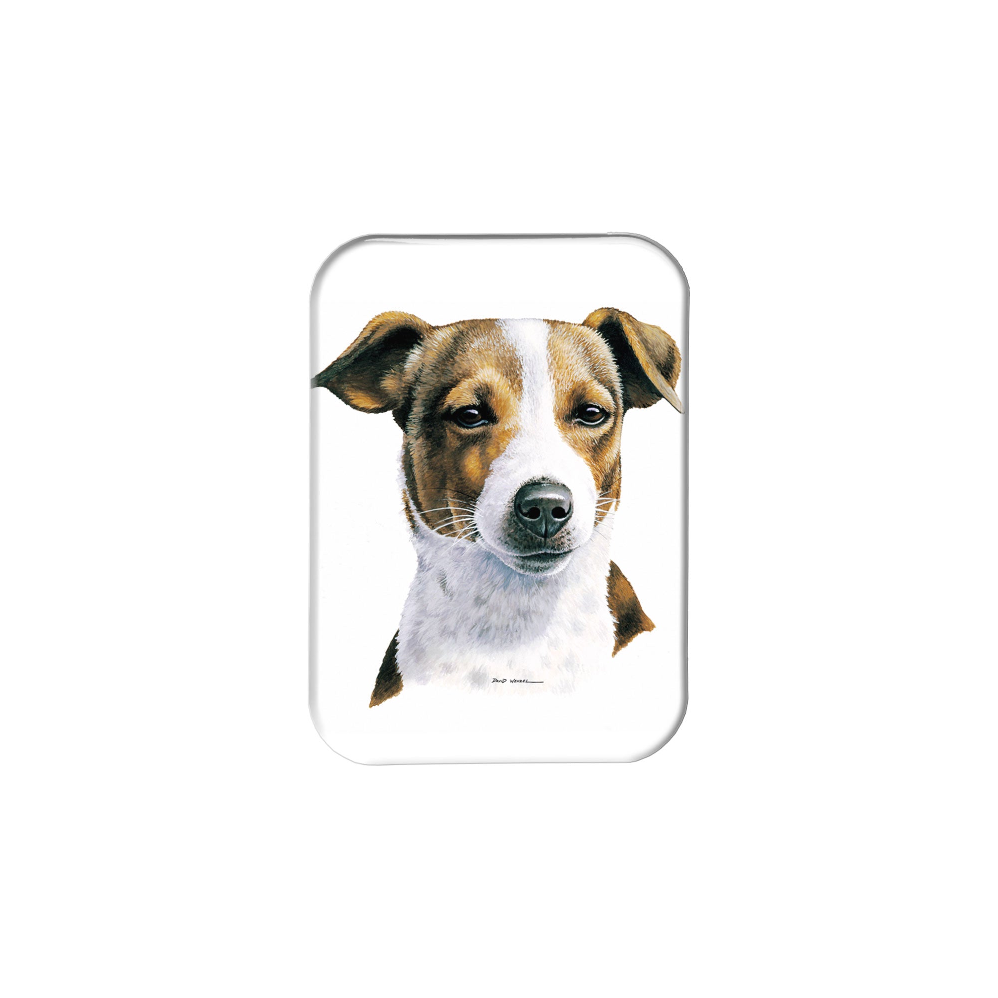 "Jack Russell Terrier" - 2.5" X 3.5" Rectangle Fridge Magnets