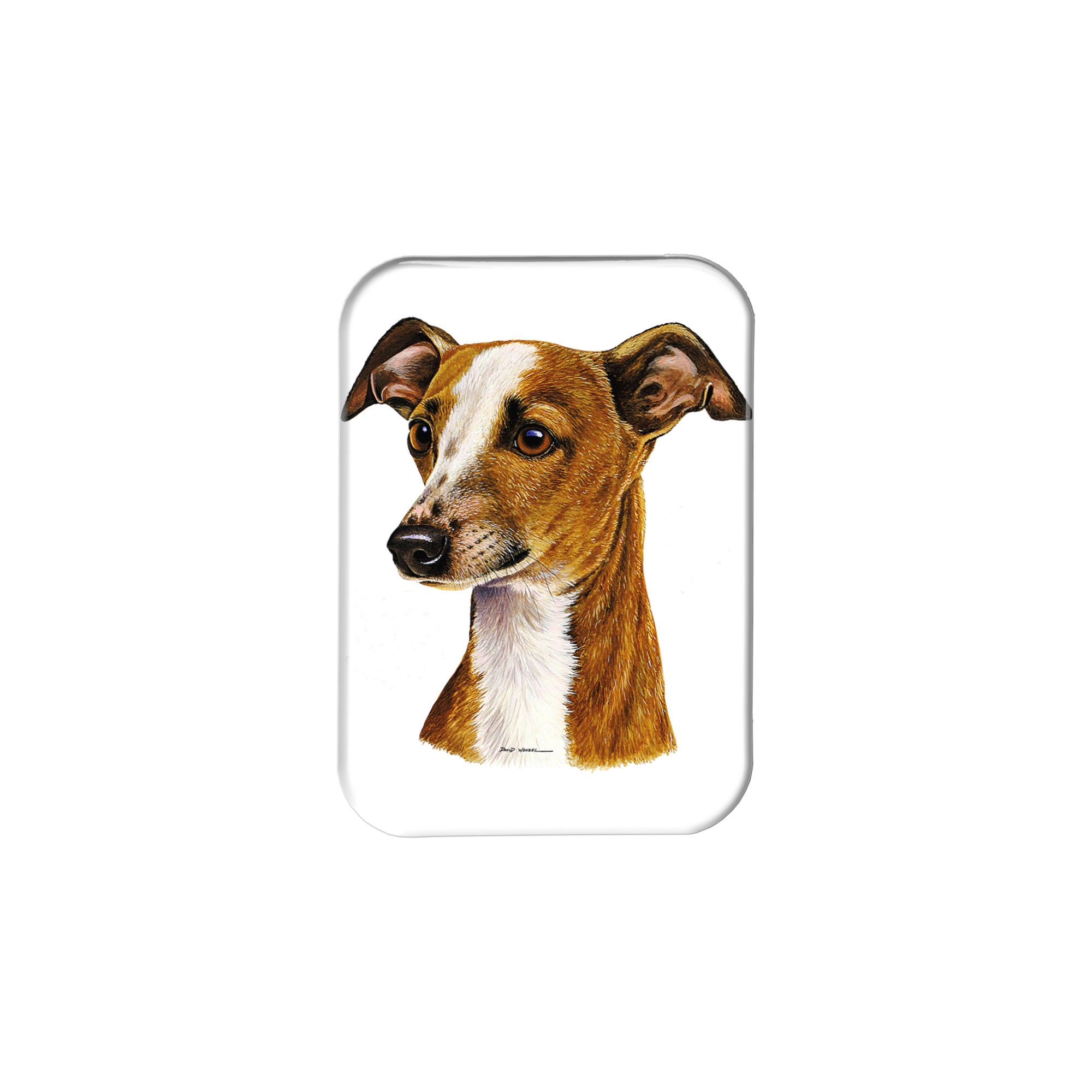 "Italian Greyhound" - 2.5" X 3.5" Rectangle Fridge Magnets