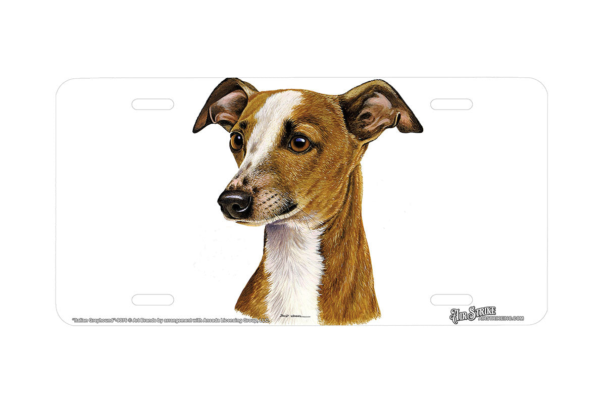 "Italian Greyhound" - Decorative License Plate