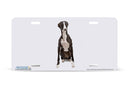 Airstrike® 439-"Black and White Italian Greyhound" Dog License Plates