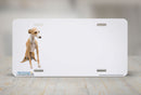 Airstrike® 438-OW-"Italian Greyhound" Offset White Dog License Plates