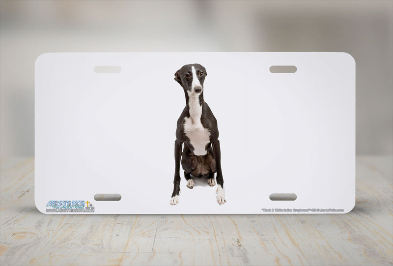Airstrike® 439-"Black and White Italian Greyhound" Dog License Plates