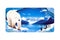 Airstrike® 221-"Polar Icelands" License Plate
