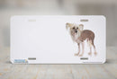 Airstrike® 432-OW-"Chinese Crested" Offset White Dog License Plates