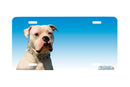 Airstrike® 559-"American Bulldog"-Dog License Plate